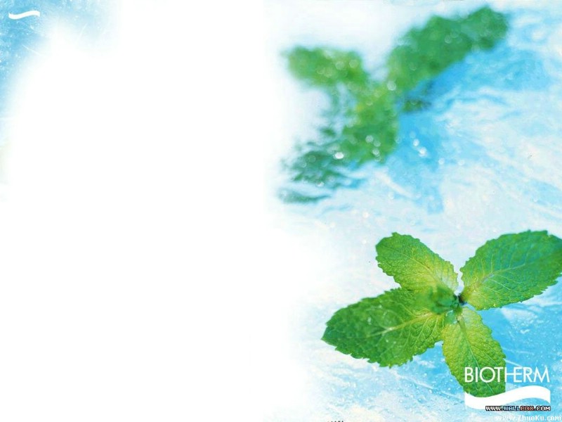 壁纸800x600法国化妆品牌Biotherm 碧欧泉广告壁纸 壁纸66壁纸 法国化妆品牌Biot壁纸 法国化妆品牌Biot图片 法国化妆品牌Biot素材 广告壁纸 广告图库 广告图片素材桌面壁纸