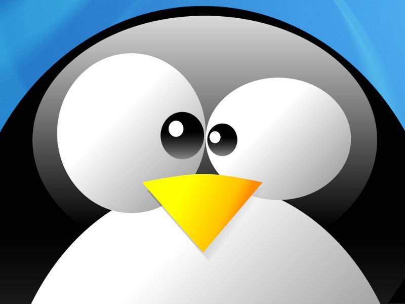 壁纸800x600Linux系统企鹅之玻璃质感壁纸 壁纸4壁纸 Linux系统企鹅之壁纸 Linux系统企鹅之图片 Linux系统企鹅之素材 系统壁纸 系统图库 系统图片素材桌面壁纸