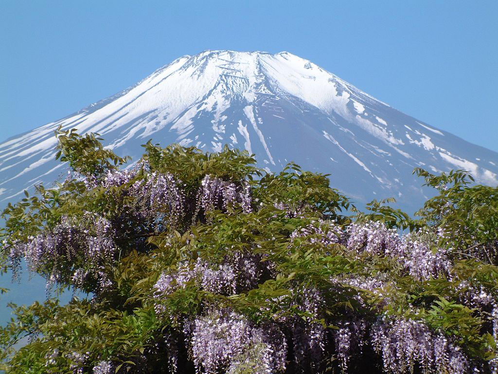 壁纸1024x768富士山 壁纸9壁纸 富士山壁纸 富士山图片 富士山素材 风景壁纸 风景图库 风景图片素材桌面壁纸