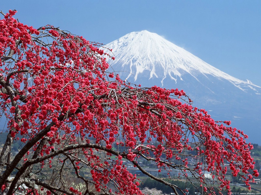 壁纸1024x768富士山风光壁纸 第三辑 第四辑 壁纸17壁纸 富士山风光壁纸 第三壁纸 富士山风光壁纸 第三图片 富士山风光壁纸 第三素材 风景壁纸 风景图库 风景图片素材桌面壁纸