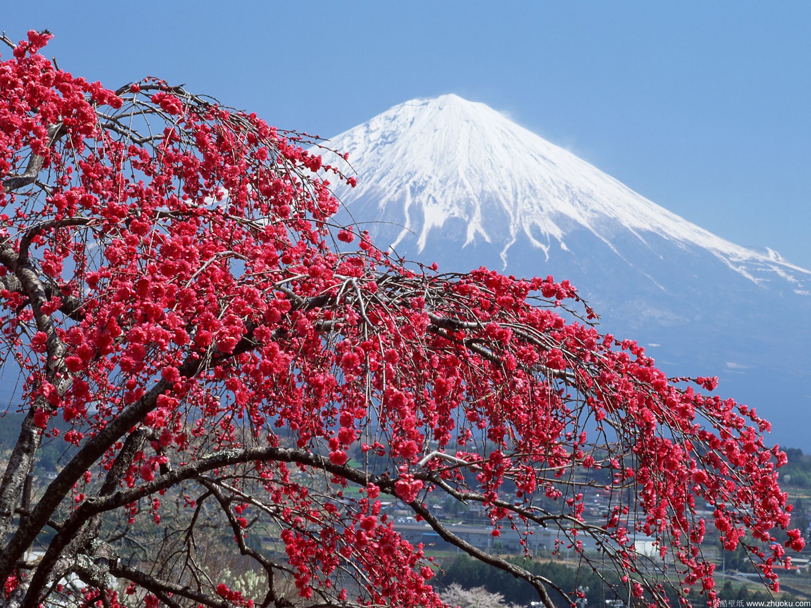 壁纸1600x1200富士山风光壁纸 第三辑 第四辑 壁纸17壁纸 富士山风光壁纸 第三壁纸 富士山风光壁纸 第三图片 富士山风光壁纸 第三素材 风景壁纸 风景图库 风景图片素材桌面壁纸