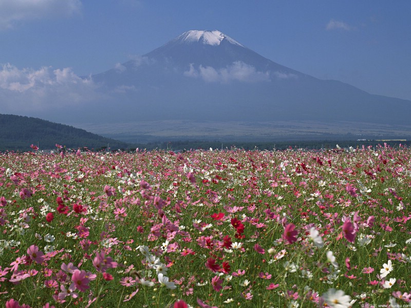 壁纸800x600富士山风光壁纸 第三辑 第四辑 壁纸20壁纸 富士山风光壁纸 第三壁纸 富士山风光壁纸 第三图片 富士山风光壁纸 第三素材 风景壁纸 风景图库 风景图片素材桌面壁纸