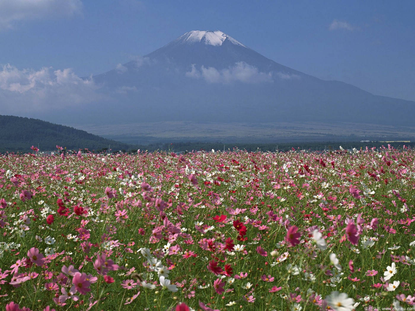 壁纸1400x1050富士山风光壁纸 第三辑 第四辑 壁纸20壁纸 富士山风光壁纸 第三壁纸 富士山风光壁纸 第三图片 富士山风光壁纸 第三素材 风景壁纸 风景图库 风景图片素材桌面壁纸