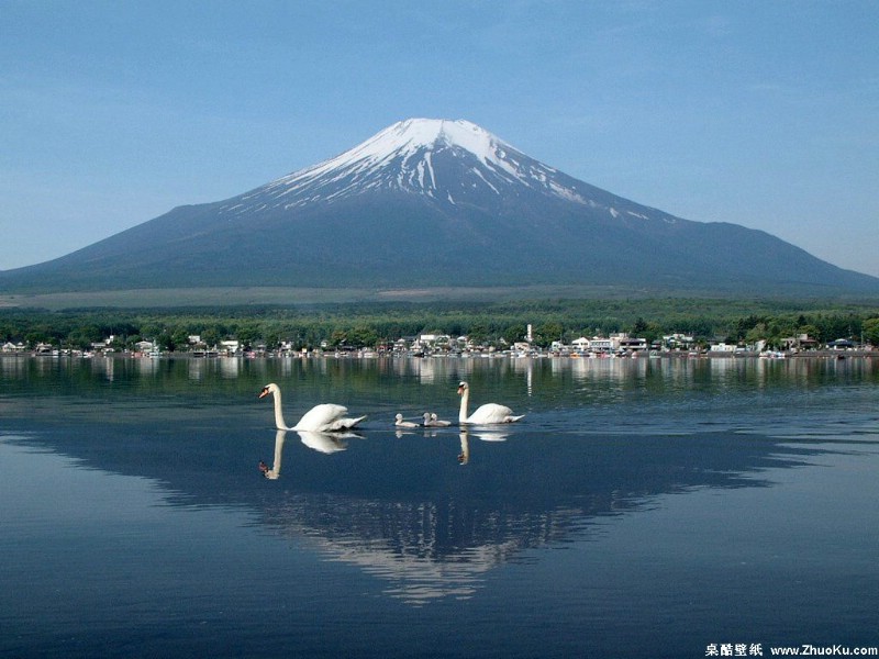 壁纸800x600富士山 四季风景壁纸 壁纸3壁纸 富士山 四季风景壁纸壁纸 富士山 四季风景壁纸图片 富士山 四季风景壁纸素材 风景壁纸 风景图库 风景图片素材桌面壁纸