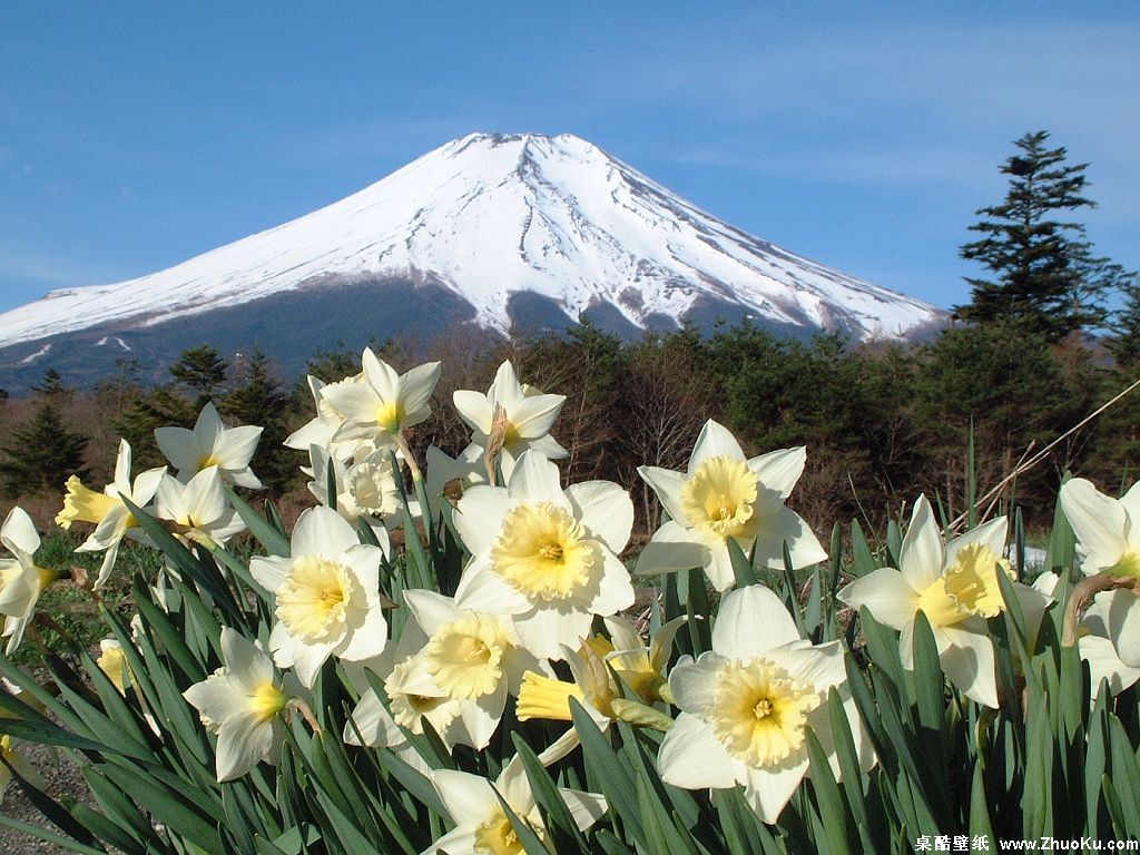 壁纸1024x768富士山 四季风景壁纸 壁纸7壁纸 富士山 四季风景壁纸壁纸 富士山 四季风景壁纸图片 富士山 四季风景壁纸素材 风景壁纸 风景图库 风景图片素材桌面壁纸