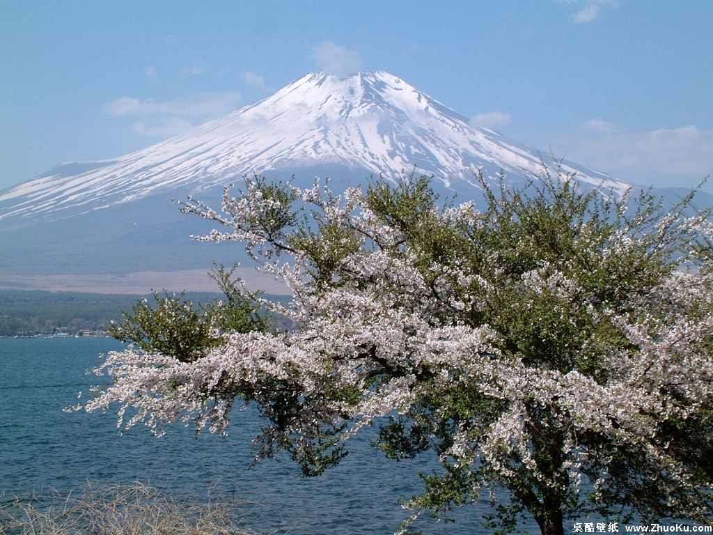 壁纸1024x768富士山 四季风景壁纸 壁纸11壁纸 富士山 四季风景壁纸壁纸 富士山 四季风景壁纸图片 富士山 四季风景壁纸素材 风景壁纸 风景图库 风景图片素材桌面壁纸