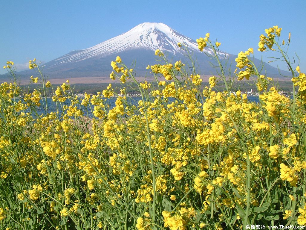 壁纸1024x768富士山 四季风景壁纸 壁纸17壁纸 富士山 四季风景壁纸壁纸 富士山 四季风景壁纸图片 富士山 四季风景壁纸素材 风景壁纸 风景图库 风景图片素材桌面壁纸