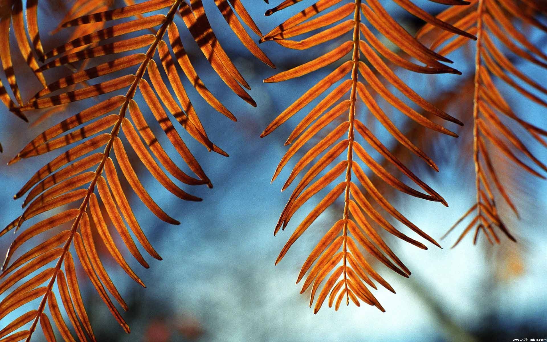 壁纸1920x1200高清风景 壁纸11壁纸 高清风景壁纸 高清风景图片 高清风景素材 风景壁纸 风景图库 风景图片素材桌面壁纸