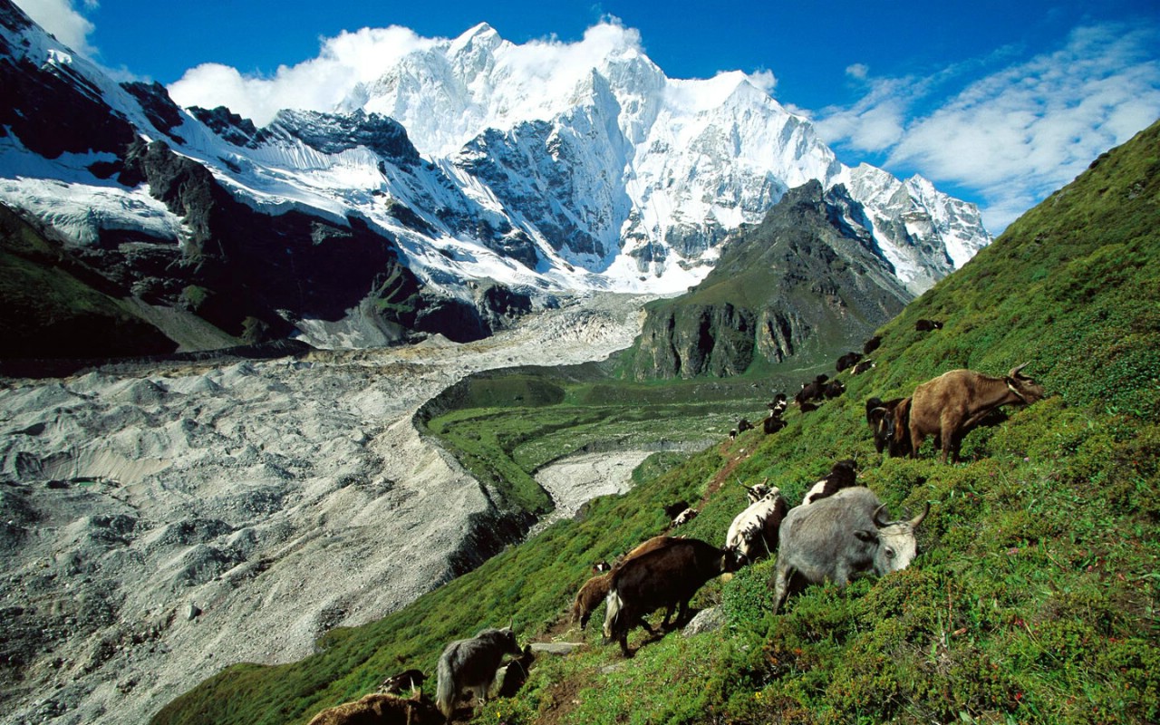 壁纸1280x800精选中国风景壁纸 壁纸31壁纸 精选中国风景壁纸壁纸 精选中国风景壁纸图片 精选中国风景壁纸素材 风景壁纸 风景图库 风景图片素材桌面壁纸