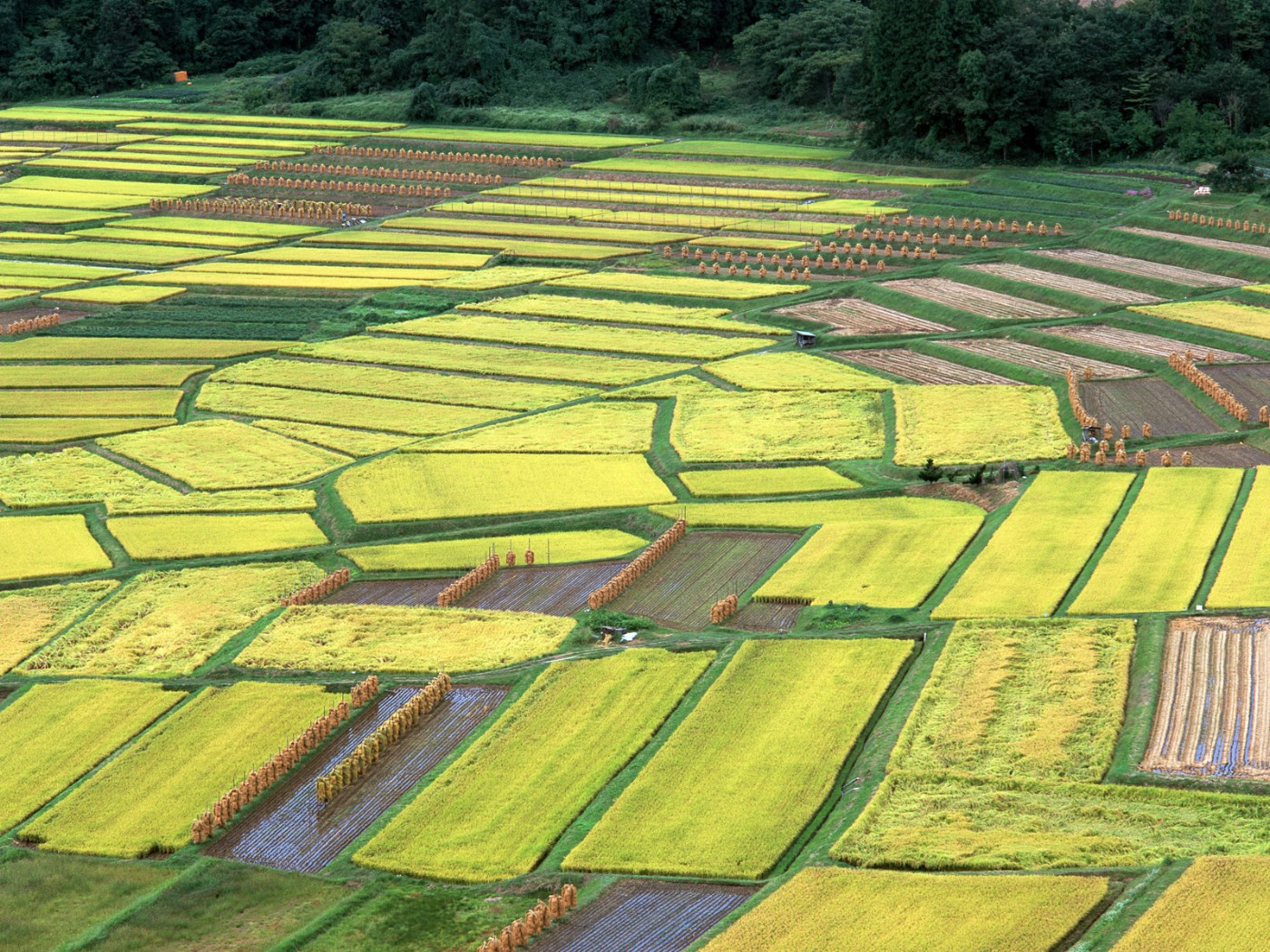 壁纸1400x1050汶川地震前风光壁纸 壁纸12壁纸 汶川地震前风光壁纸壁纸 汶川地震前风光壁纸图片 汶川地震前风光壁纸素材 风景壁纸 风景图库 风景图片素材桌面壁纸