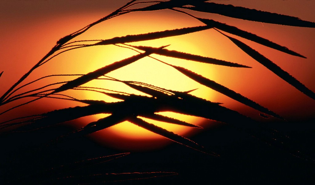 壁纸1024x600日落日出太阳云霄夜景黄昏壁纸 特辑三 壁纸20壁纸 日落日出太阳云霄夜景壁纸 日落日出太阳云霄夜景图片 日落日出太阳云霄夜景素材 风景壁纸 风景图库 风景图片素材桌面壁纸