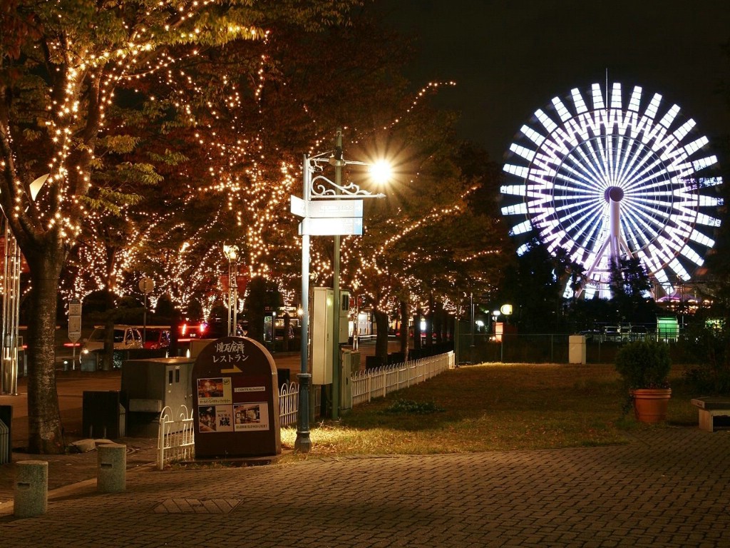 壁纸1024x768圣诞节夜景壁纸 壁纸90壁纸 圣诞节夜景壁纸壁纸 圣诞节夜景壁纸图片 圣诞节夜景壁纸素材 风景壁纸 风景图库 风景图片素材桌面壁纸