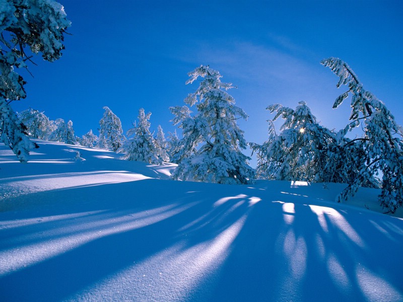 壁纸800x600雪景 雪山 冰川 三 壁纸39壁纸 雪景、雪山、冰川（三壁纸 雪景、雪山、冰川（三图片 雪景、雪山、冰川（三素材 风景壁纸 风景图库 风景图片素材桌面壁纸