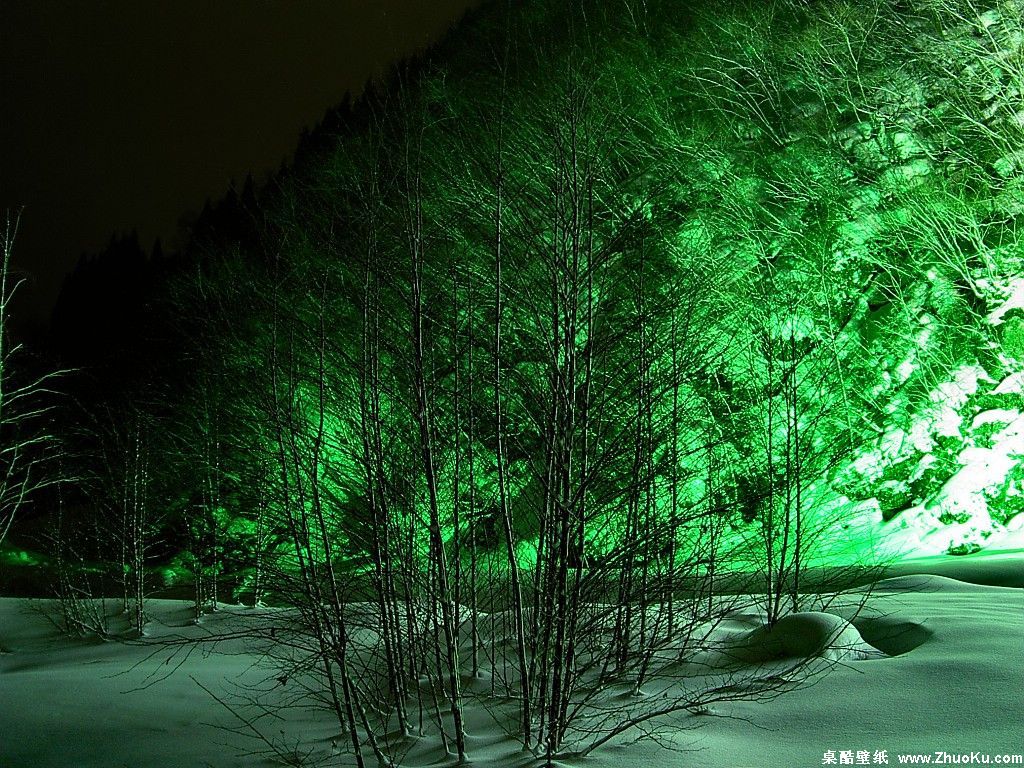 壁纸1024x768夜中雪景唯美景色壁纸 壁纸5壁纸 夜中雪景唯美景色壁纸壁纸 夜中雪景唯美景色壁纸图片 夜中雪景唯美景色壁纸素材 风景壁纸 风景图库 风景图片素材桌面壁纸