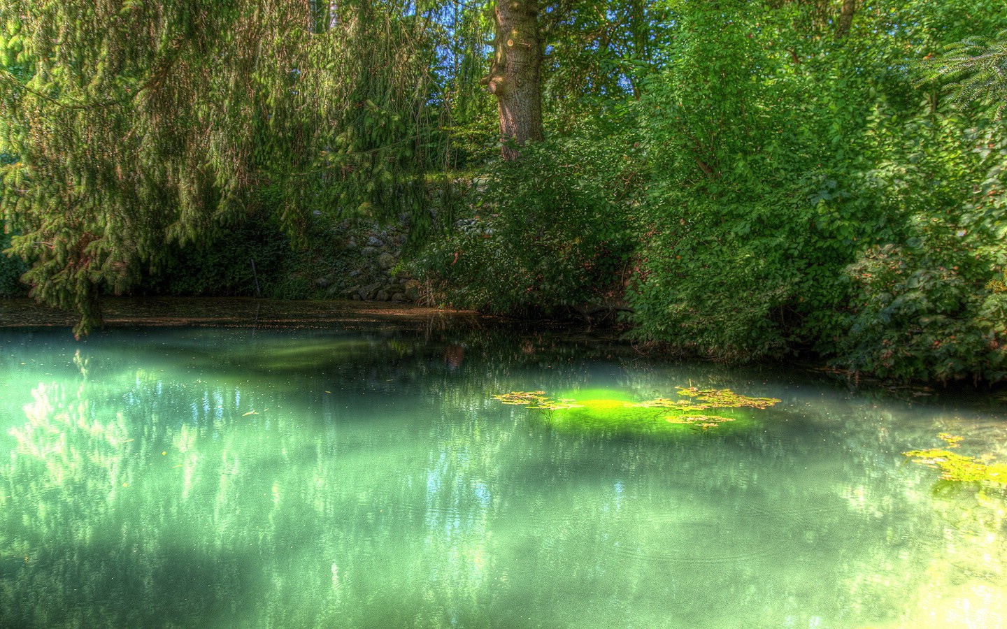 壁纸1440x900精美风景 植物宽屏壁纸 2008 11 30 壁纸9壁纸 精美风景/植物宽屏壁壁纸 精美风景/植物宽屏壁图片 精美风景/植物宽屏壁素材 系统壁纸 系统图库 系统图片素材桌面壁纸