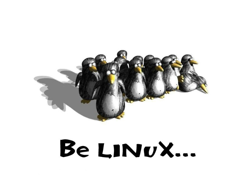 壁纸800x600Linux主题壁纸 壁纸2壁纸 Linux主题壁纸壁纸 Linux主题壁纸图片 Linux主题壁纸素材 系统壁纸 系统图库 系统图片素材桌面壁纸