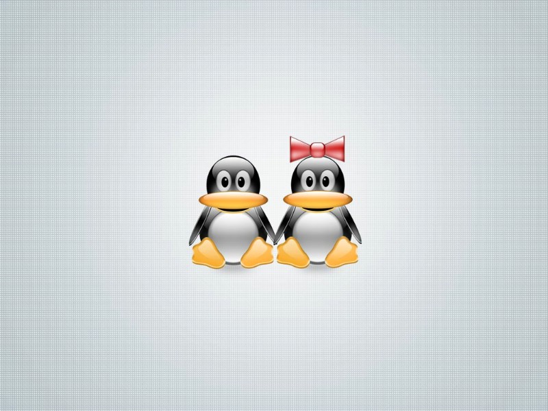 壁纸800x600Linux主题壁纸 壁纸5壁纸 Linux主题壁纸壁纸 Linux主题壁纸图片 Linux主题壁纸素材 系统壁纸 系统图库 系统图片素材桌面壁纸