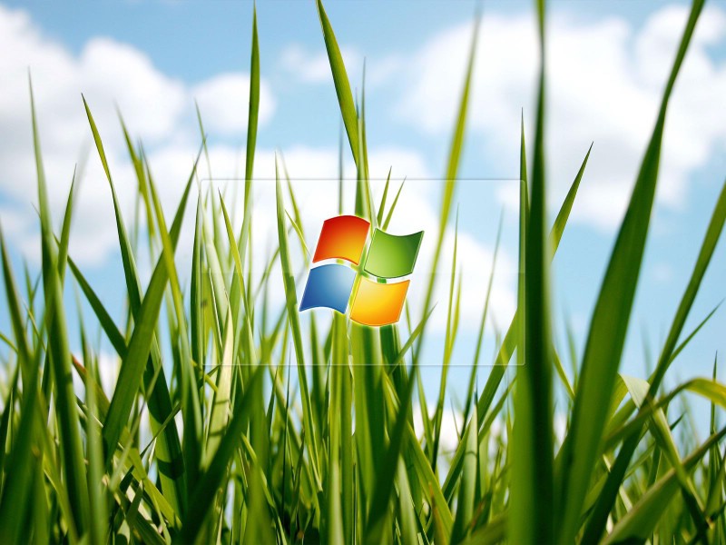 壁纸800x600Windows Vista壁纸 壁纸1壁纸 Windows Vista壁纸壁纸 Windows Vista壁纸图片 Windows Vista壁纸素材 系统壁纸 系统图库 系统图片素材桌面壁纸